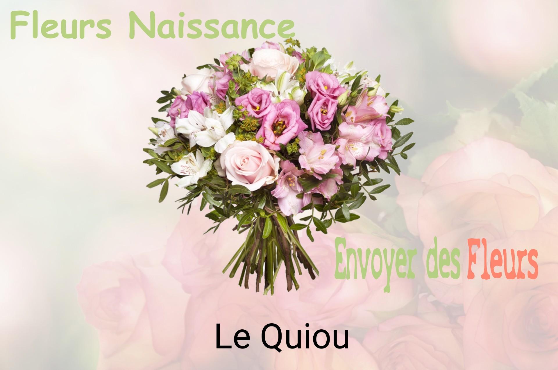 Bouquet de fleurs de naissance livré à Le Quiou